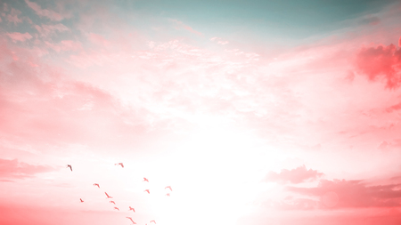 sunlight with bright nature and flare background.の写真素材