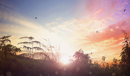 Religious cross over the sunsetの写真素材