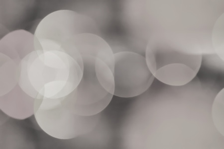 Abstract bokeh night garden in city backgroundの写真素材