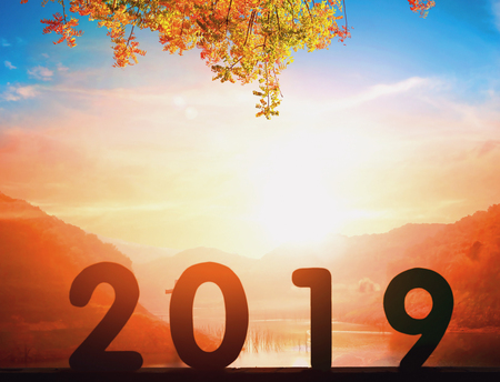 2019 New Year concept: 2019 at sunset backgroundの写真素材