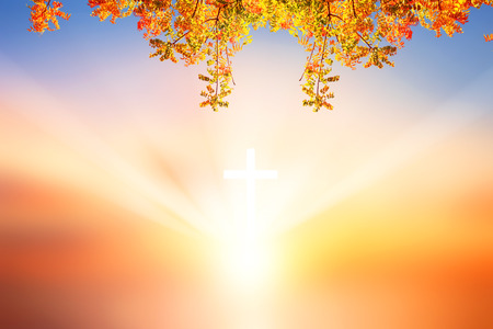 Thanksgiving concept: autumn leaves over gradient blurry sunset background