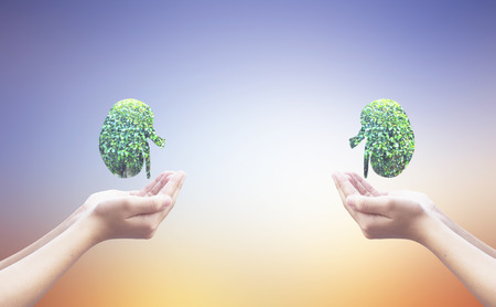 World Kidney Day concept: healthcare symbolic designの写真素材