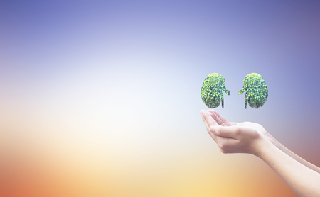 World Kidney Day concept: healthcare symbolic designの写真素材