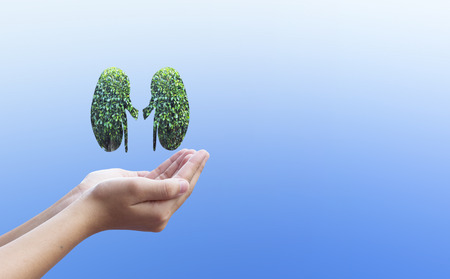 World Kidney Day concept: healthcare symbolic design