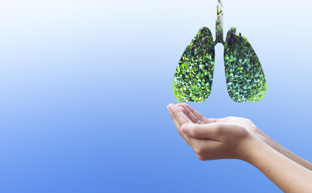 Protecting the lungs concept: protecting the natural environmentの写真素材