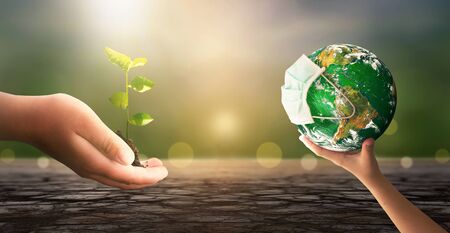 World Environment Day concept: hand holding tree planting and green earth on green nature...
