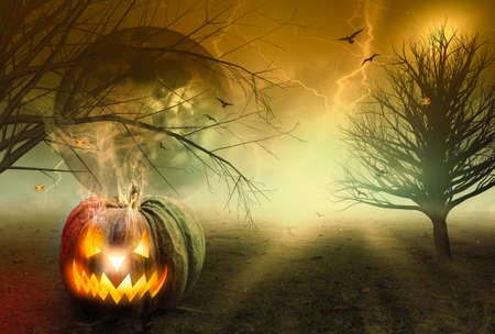 Halloween concept: Spooky pumpkin with moon and dark forestの写真素材