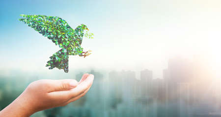International Day for Tolerance concept: green Dove carrying leaf branch on City and blue nature backgroundの写真素材