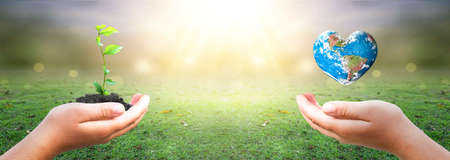 hands holding earth globe and tree over blurred nature backgroundの写真素材