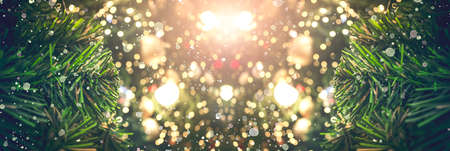 Christmas concept: Decorated Christmas tree on blurred backgroundの写真素材