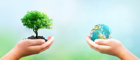 hands holding tree and earth globe over green and city backgroundの写真素材