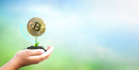 making money for future and growing tree plant depicts Fund growth and wealthの写真素材