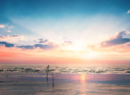 Colorful Polluted beach beach sunrise with deep blue sky and sun rays