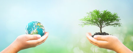 ESG concept: tree planting growing green earth on volunteers hands and isolate green light background.の写真素材