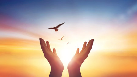 hands raised to the sky to praying and free bird enjoying nature on sunrise and overcast sky background.の写真素材