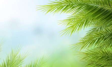 Palm leaves in front of blue sunny summer skyの写真素材