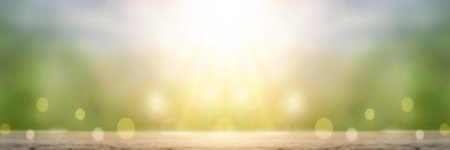 world environment and earth day, Blur natural green and bokeh sun light abstract backgroundの写真素材