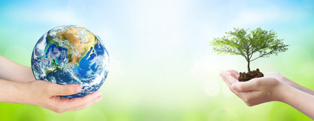 world environment and earth day, Two human hands holding big tree and earth globe over green and blue sky nature backgroundの写真素材