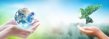 world environment and earth day, hands holding earth globe and Peace dove over blurred nature background.の写真素材