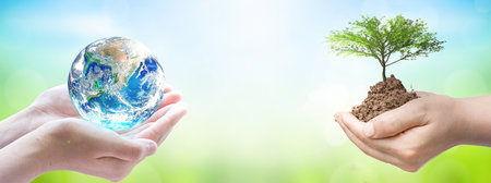 world environment and earth day, Two human hands holding big tree and earth globe over green and blue sky nature background.の写真素材