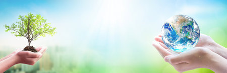 world environment and earth day, Two human hands holding big tree and earth globe over green and blue sky nature background. \の写真素材