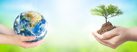 world environment and earth day, Two human hands holding big tree and earth globe over green and blue sky nature background.の写真素材