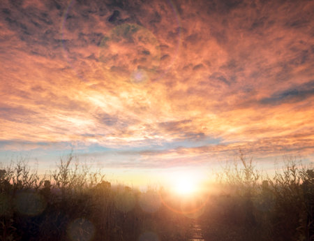 beautiful sunrise sunset country field mountainの写真素材