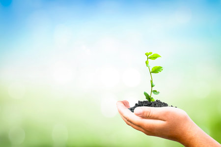 world environment day concept, Human hands holding big tree on green blue backgroundの写真素材