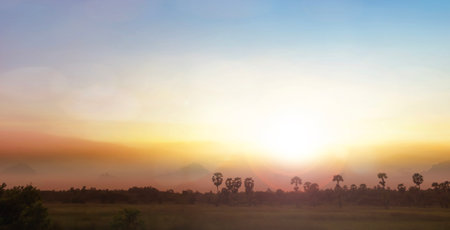 Panorama landscape nature twilight soft light sunshine outdoor yellow and orange sky backgroundの写真素材