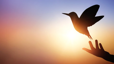 Silhouette hand of woman praying and free bird enjoying nature on sunrise and orange background with sunlight.の写真素材