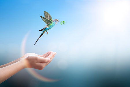 A green hummingbird flying over a female hand against a blue skyの写真素材