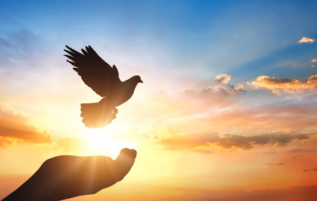 Silhouette of hand holding dove on sunset sky background. Freedom conceptの写真素材