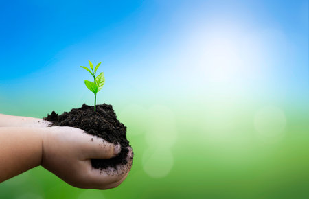hand children holding young plant with sunlight on green nature background. concept eco earth dayの写真素材