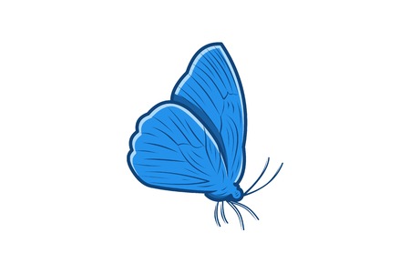 Butterfly Logo Designs Inspiration Isolated on White Backgroundのイラスト素材