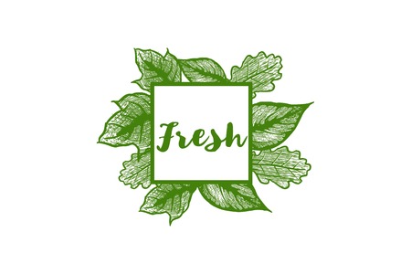Fresh label, leaf ornament logo Designs Inspiration Isolated on White Backgroundのイラスト素材
