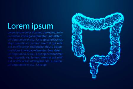 colon, intestine, digestive system, Human Anatomy. Abstract low poly, Triangle, dot, line, polygon. Shine blue background, Vector illustrationのイラスト素材