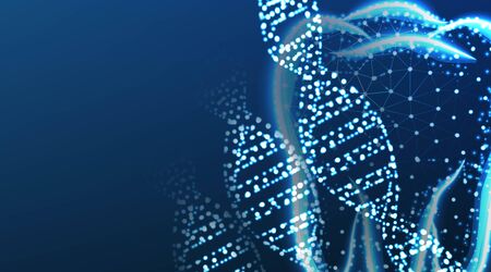 Dental Care. Abstract Molecule Dna. Low Poly Wireframe mesh design. Vector Illustration. Isolated On dark blue backgroundのイラスト素材