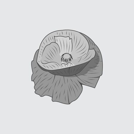 Lily Flower Logo Icon, vector illustrationのイラスト素材
