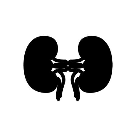kidney symbol flat black line icon, Vector Illustrationのイラスト素材