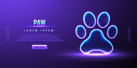 paw, low poly wireframe design vector illustrationのイラスト素材