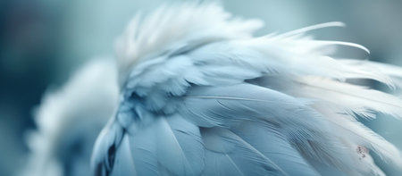 Airy soft fluffy wing bird , AI Generated Imageの素材