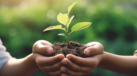 hand holding young plant on blur green nature background. concept eco earth dayの素材