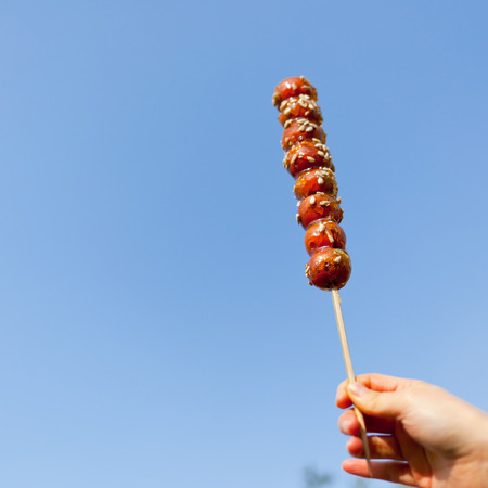 Beijing snacks sugar-coated berryの写真素材