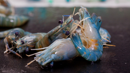 Aquatic products, shrimp