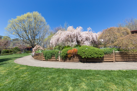 
Australia, Sydney Blue Mountain Botanical Gardenのeditorial素材