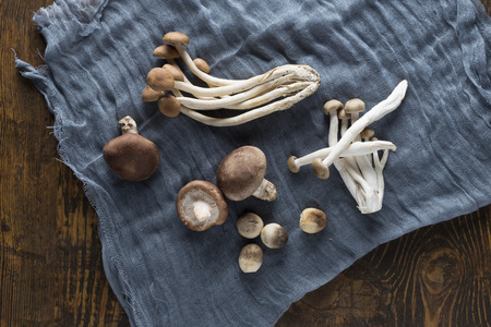 A combination of straw mushroom, tea mushroom, shiitake mushrooms, etc. on a wooden board, gauze for backgroundの写真素材