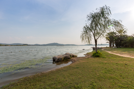 the typical freshwater lake shore at China's Wuxi.の写真素材