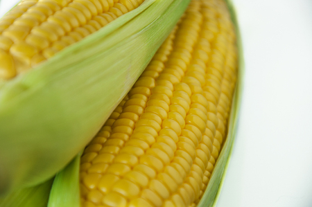 Yellow sweet corns close upの写真素材