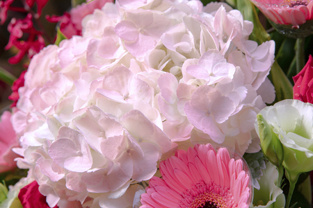 Beautiful bouquet, blooming flowers filled with blessings of loveの写真素材