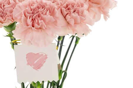 Happy Mother's Day,  pink carnations in full bloom with card.の写真素材